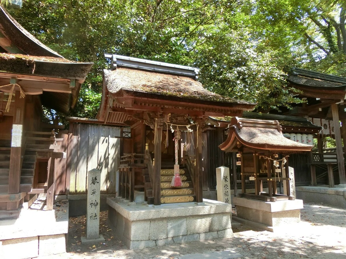 画像8