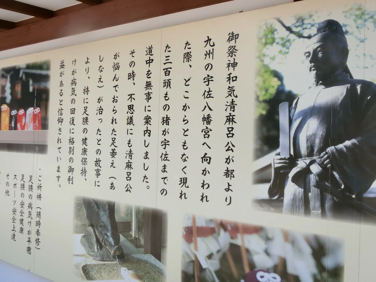 画像9