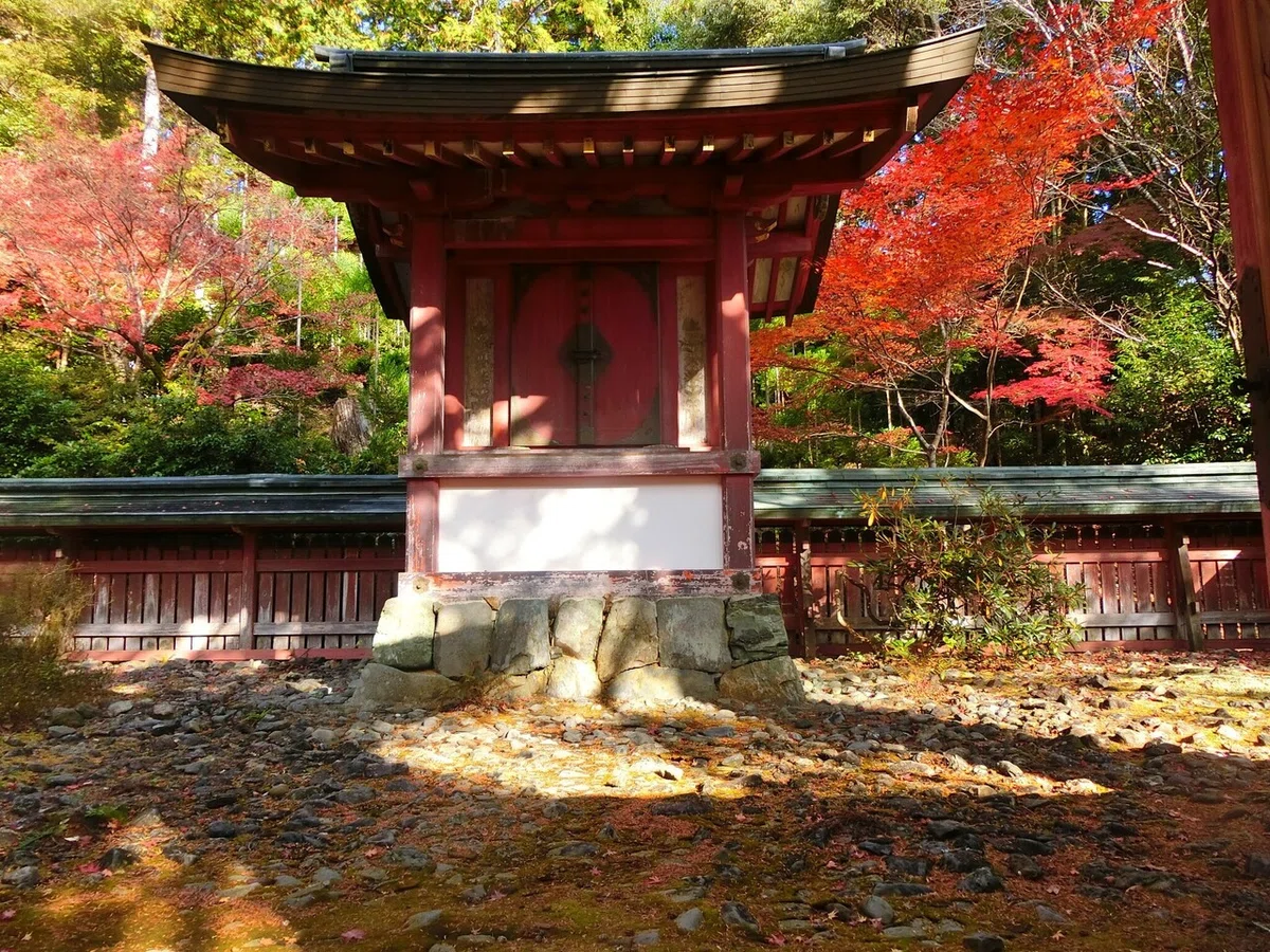 画像11