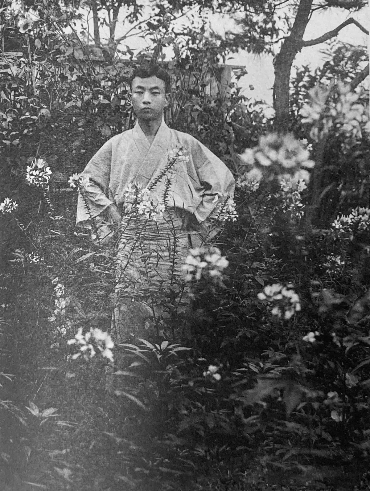 画像4