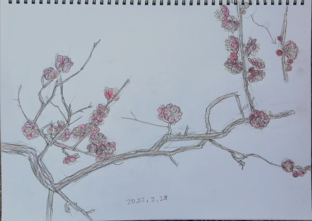 梅見日和｜陽子絵画制作室