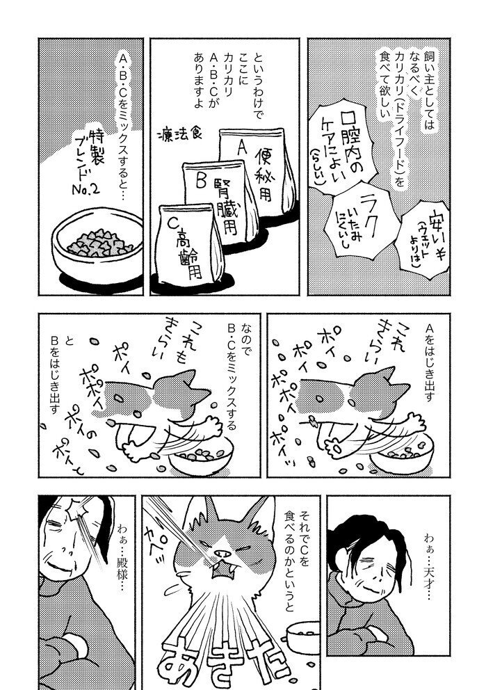 物陰に猫遊びサンプル_007