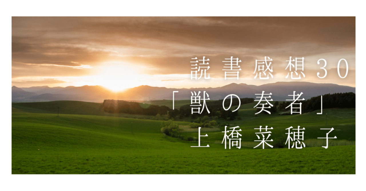 決して人に慣れぬ獣と竪琴を奏でる少女の物語|せ→る→ 決して人に慣れぬ獣と竪琴を奏でる少女の物語|せ→る→