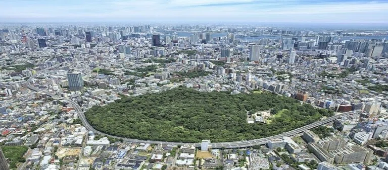 自然教育園-768x338