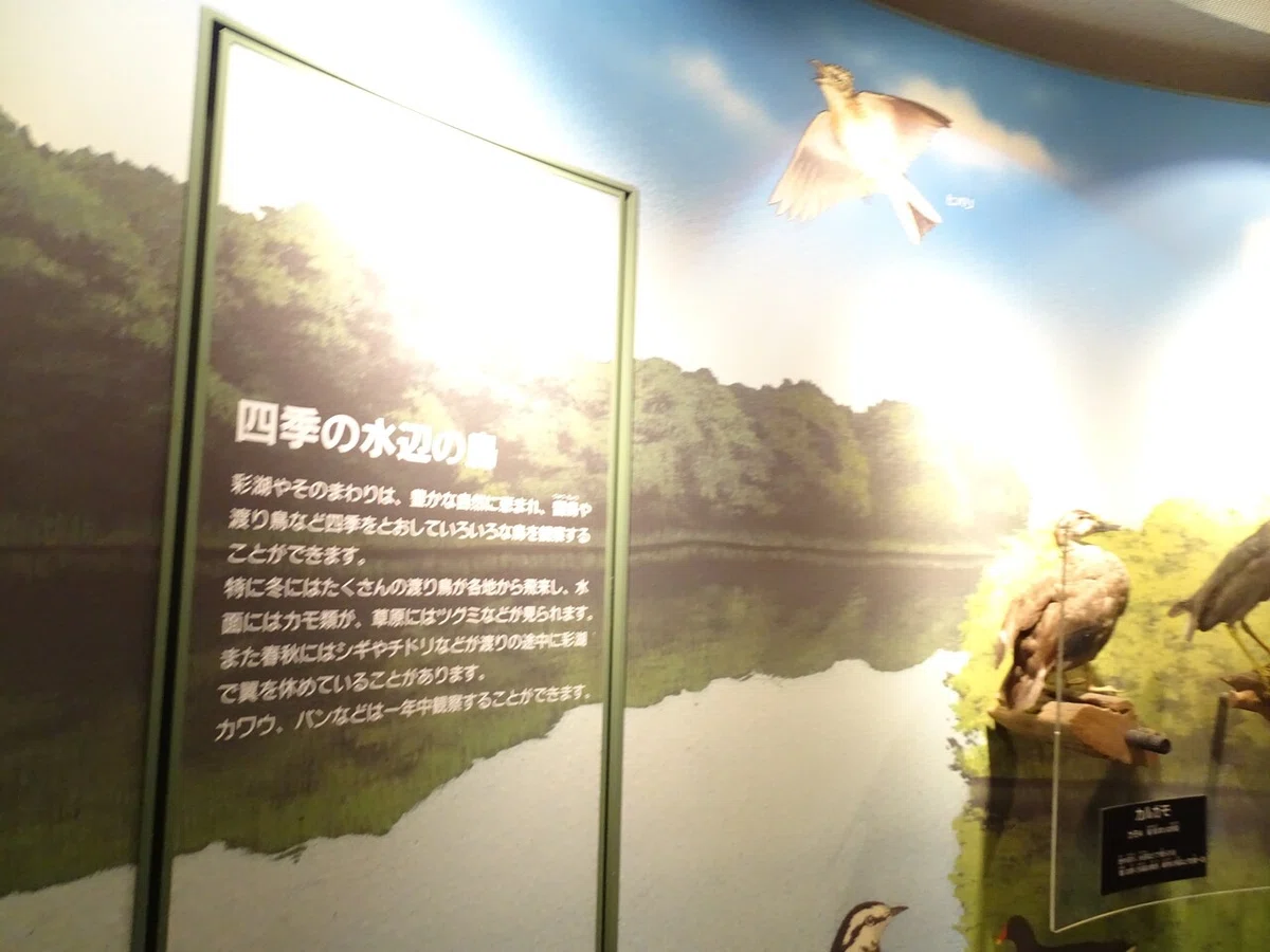 画像129