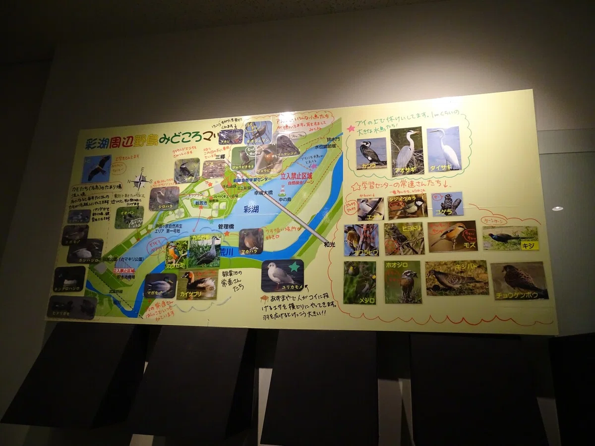 画像123