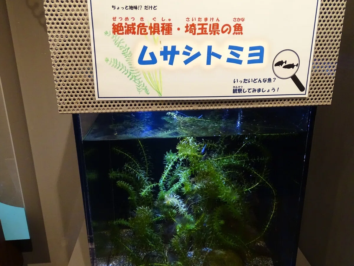 画像70