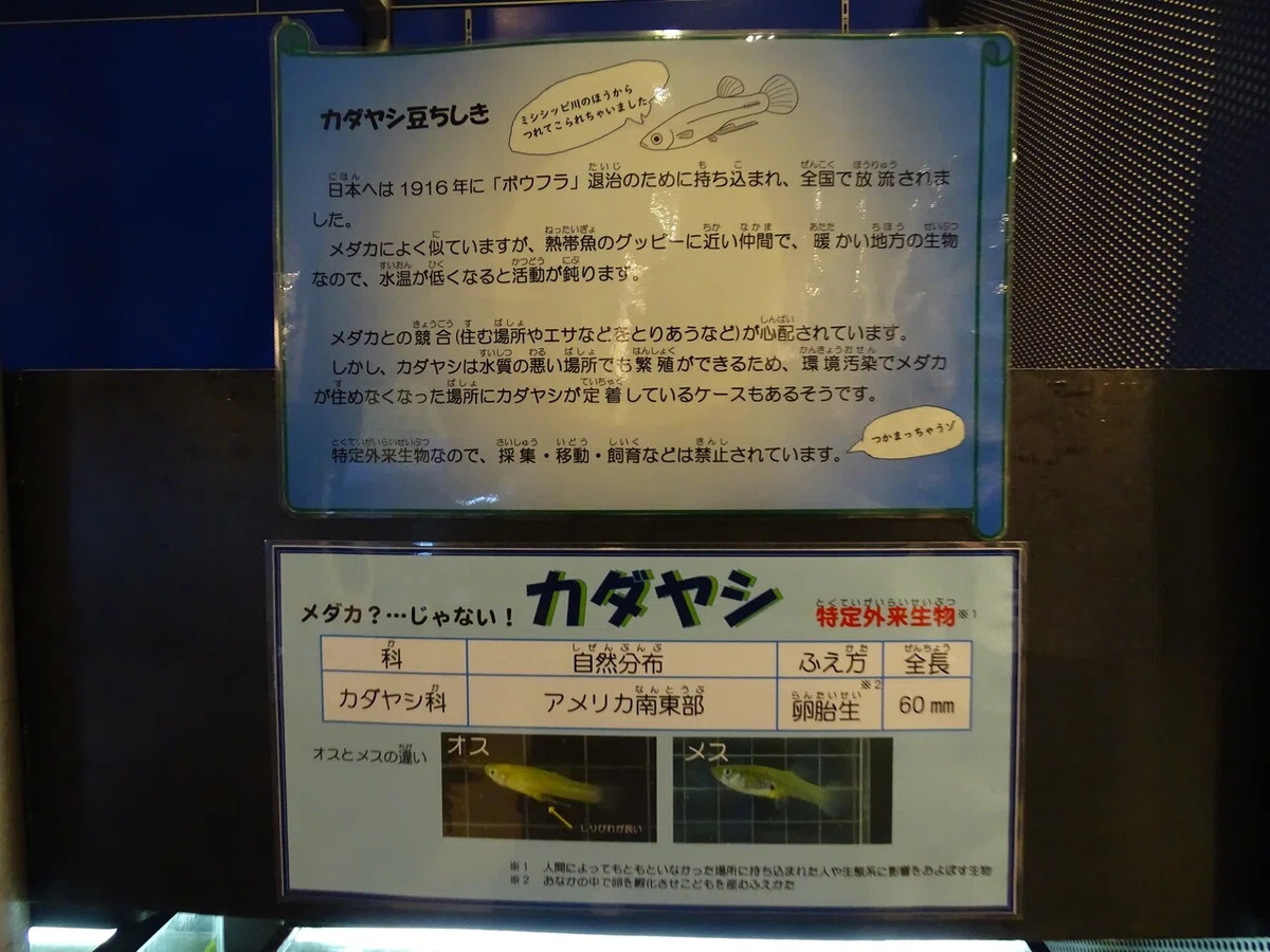 画像20