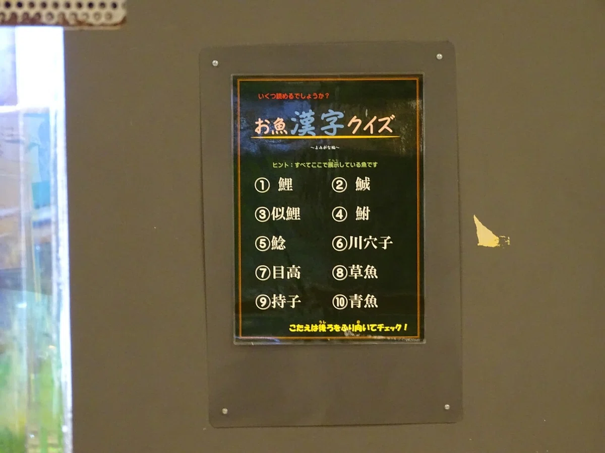 画像60