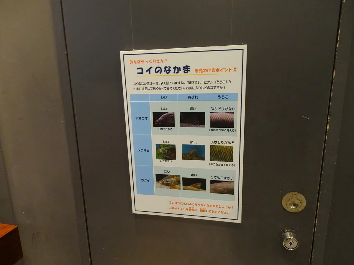画像44