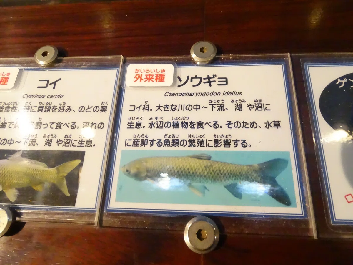 画像48