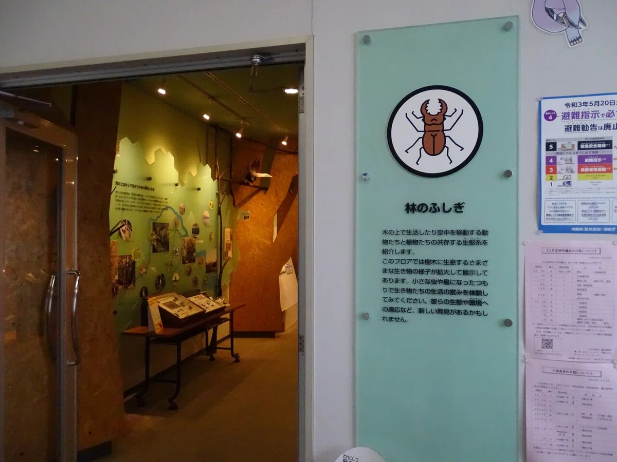 画像98