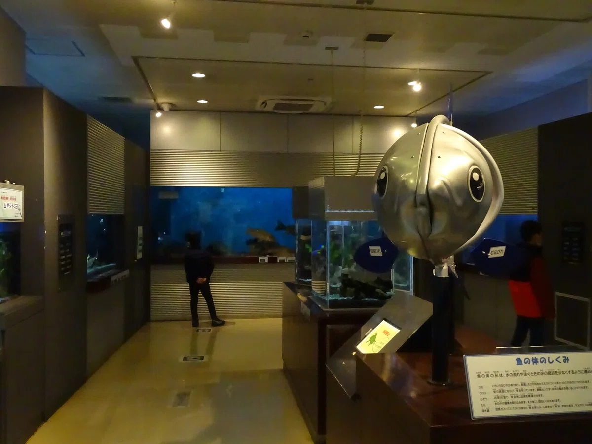 画像78