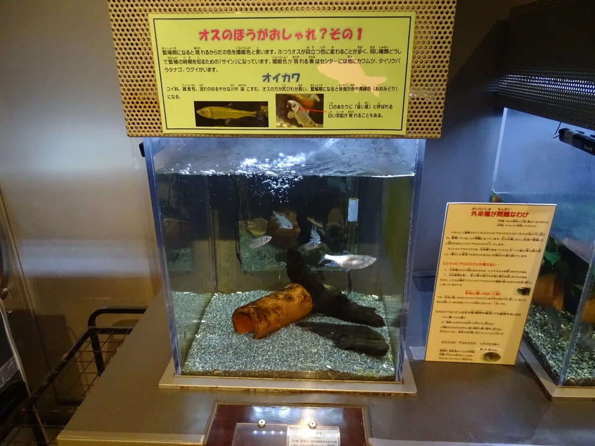 画像28
