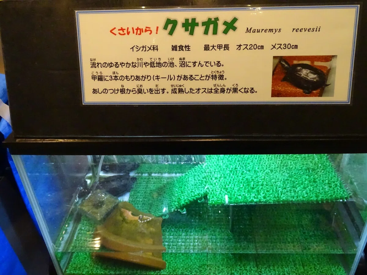 画像75