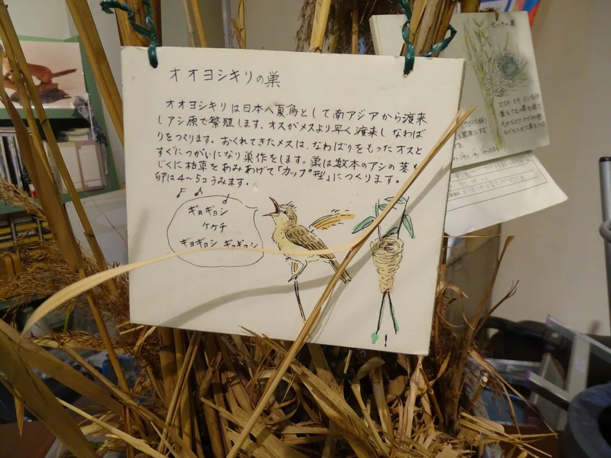 画像116