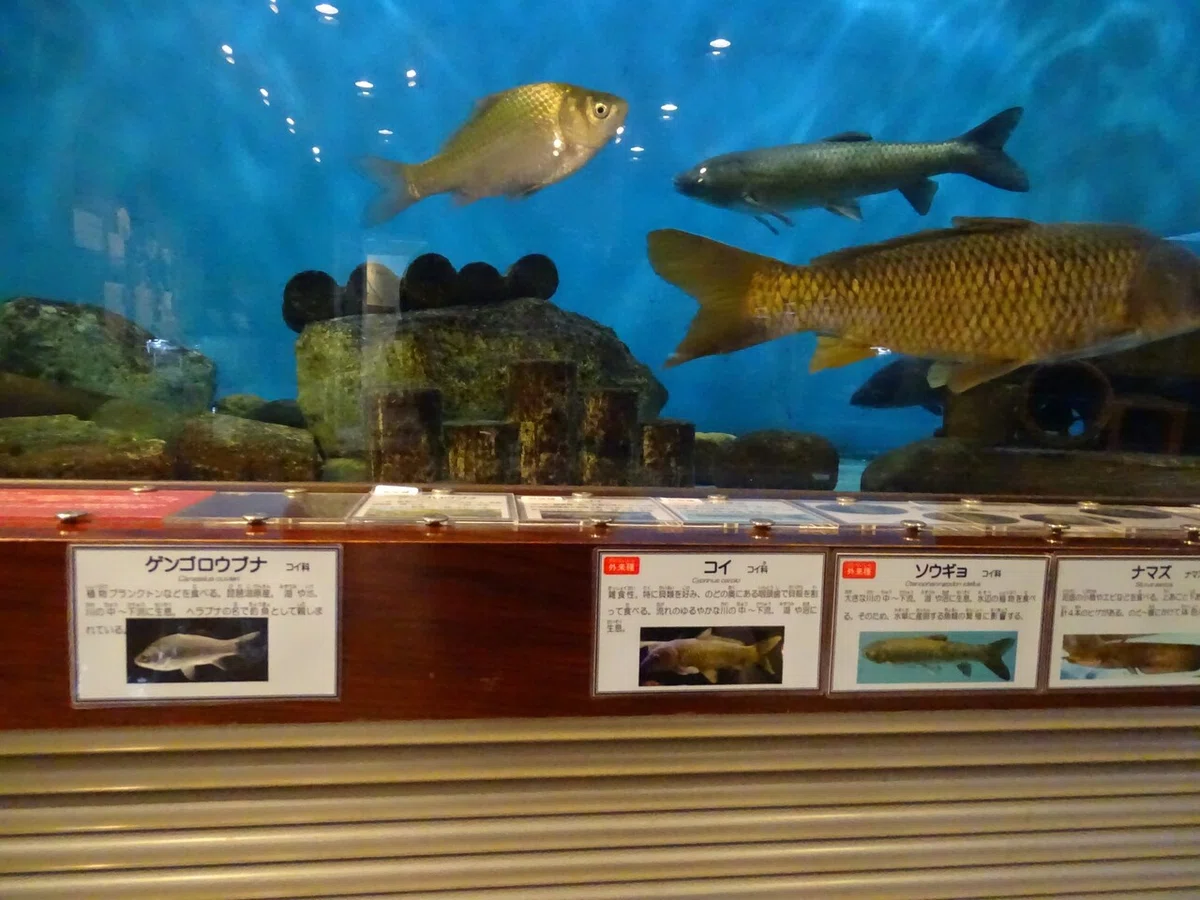 画像47