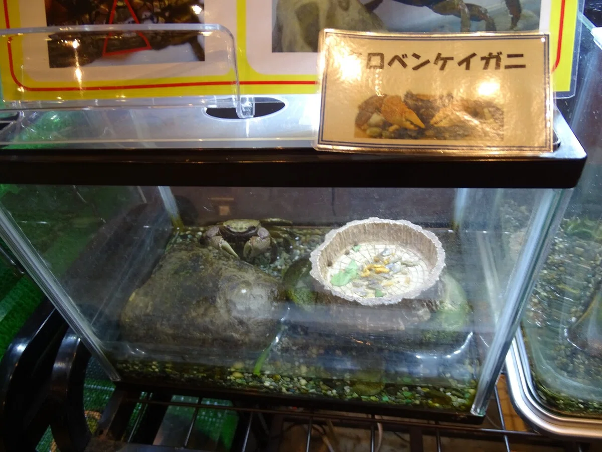 画像65