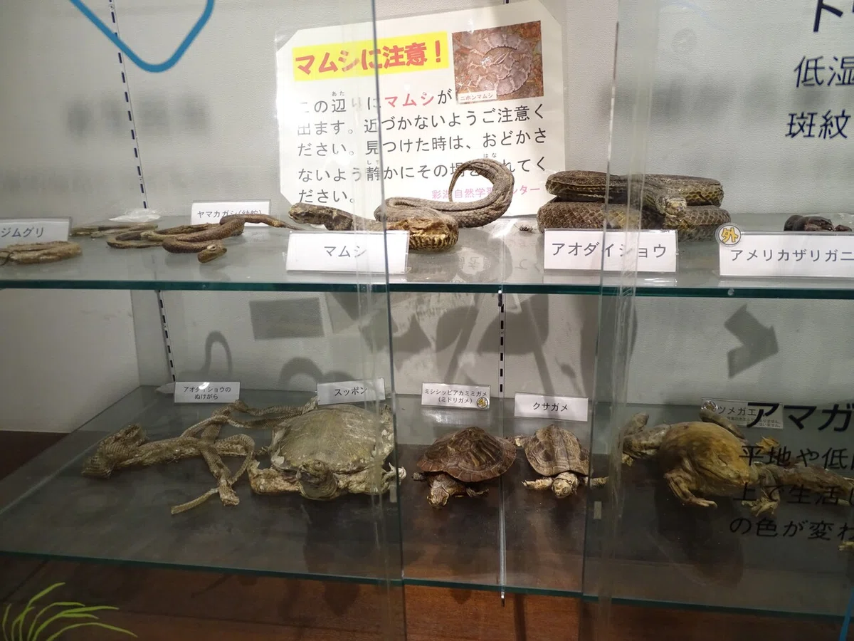 画像125