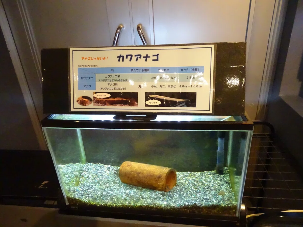 画像30