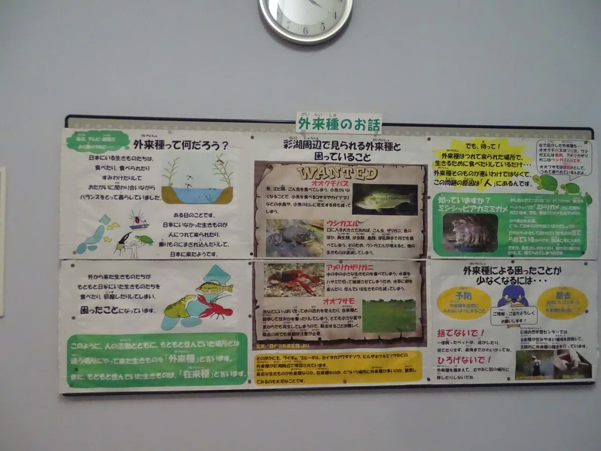画像121