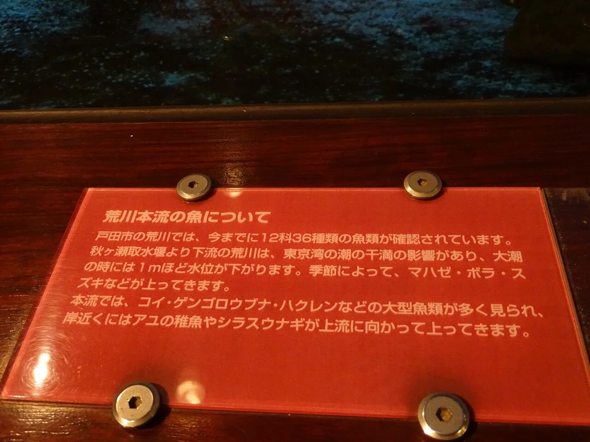 画像52