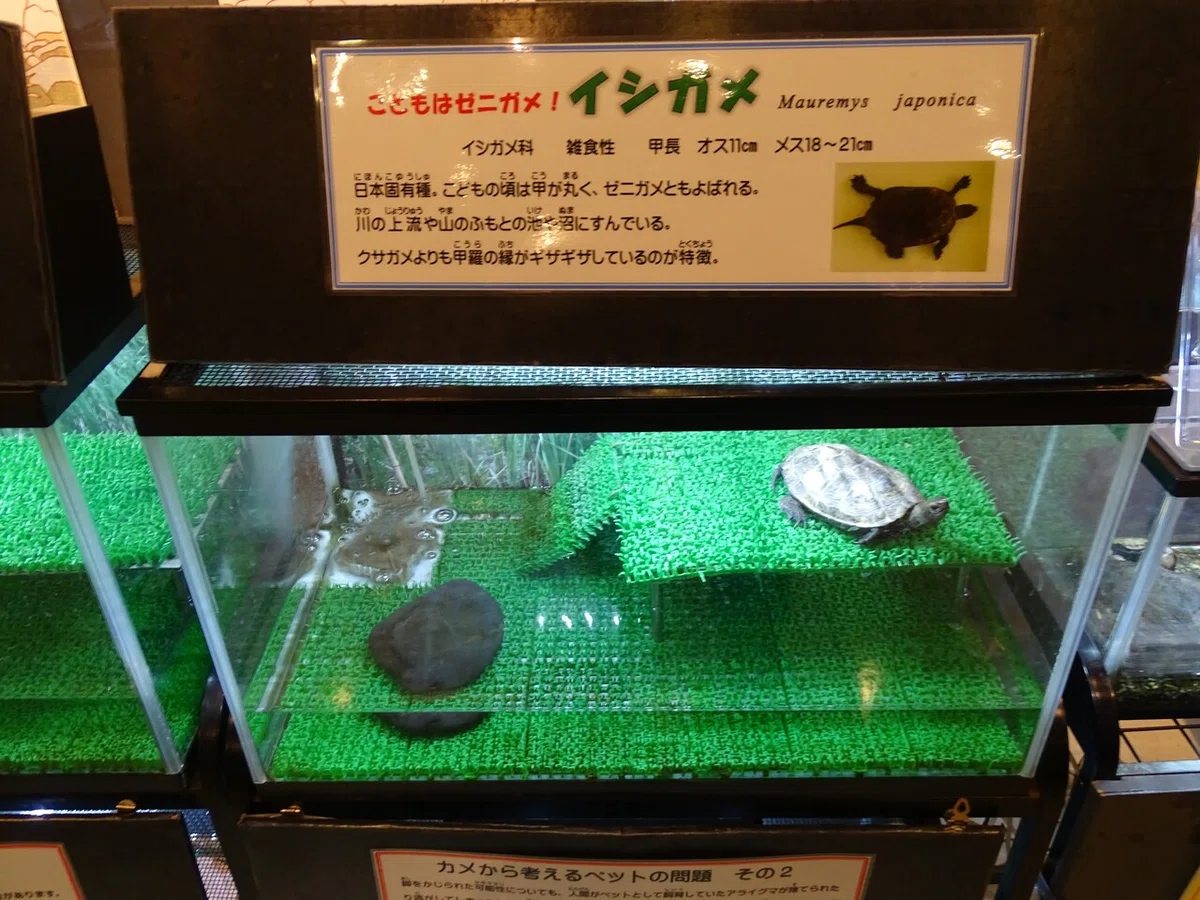 画像73
