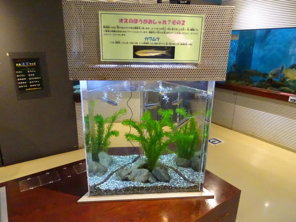 画像35