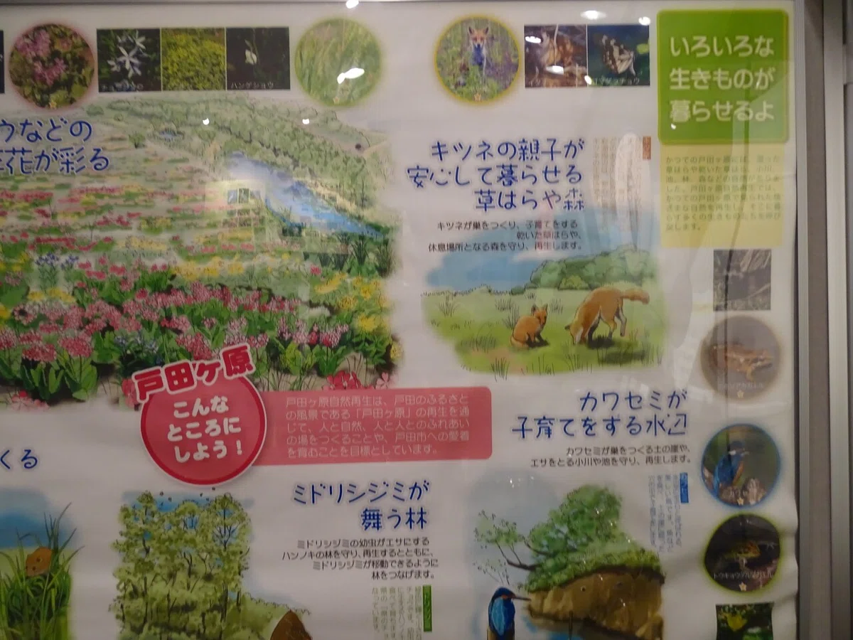 画像126