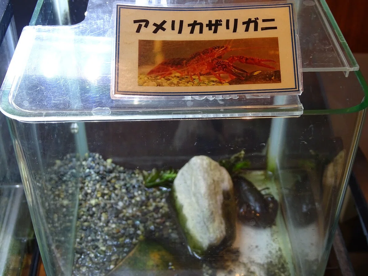 画像67