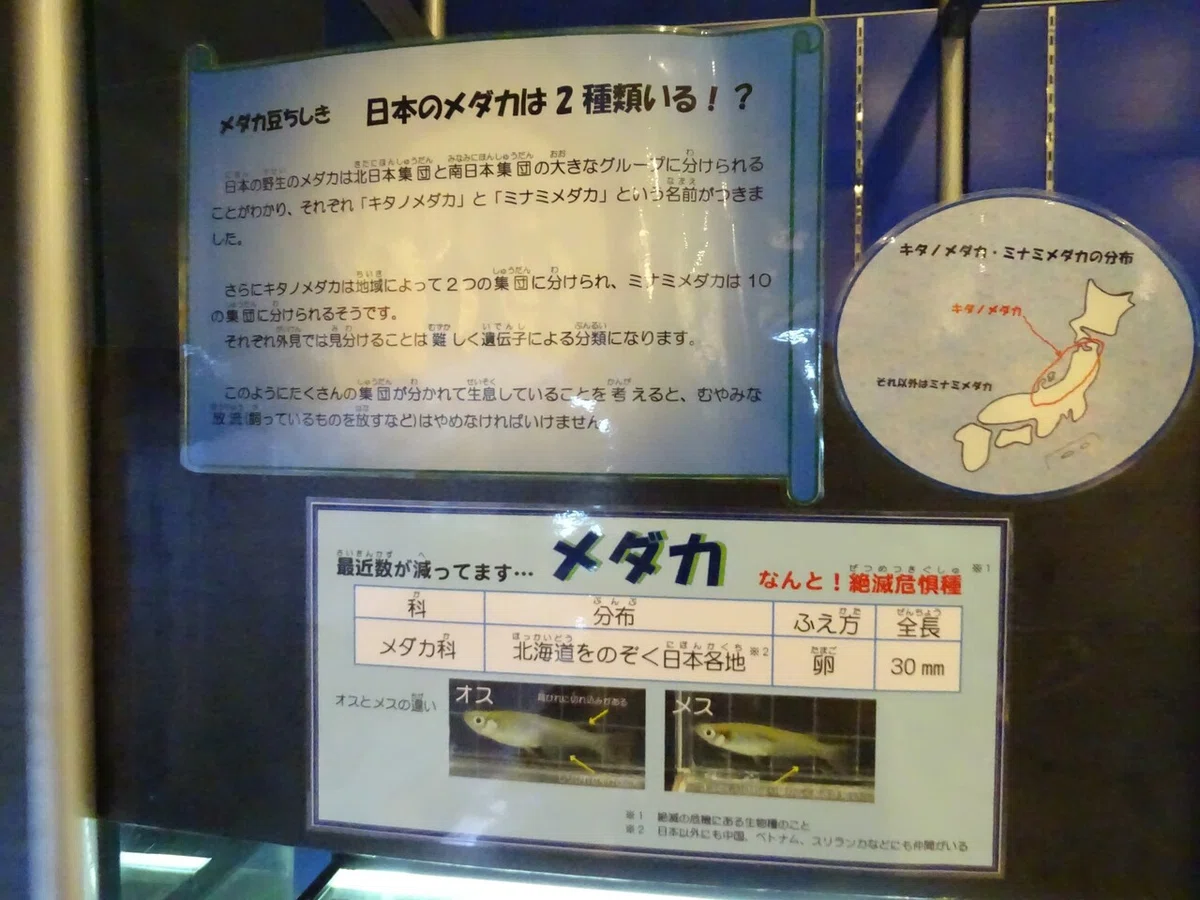 画像21