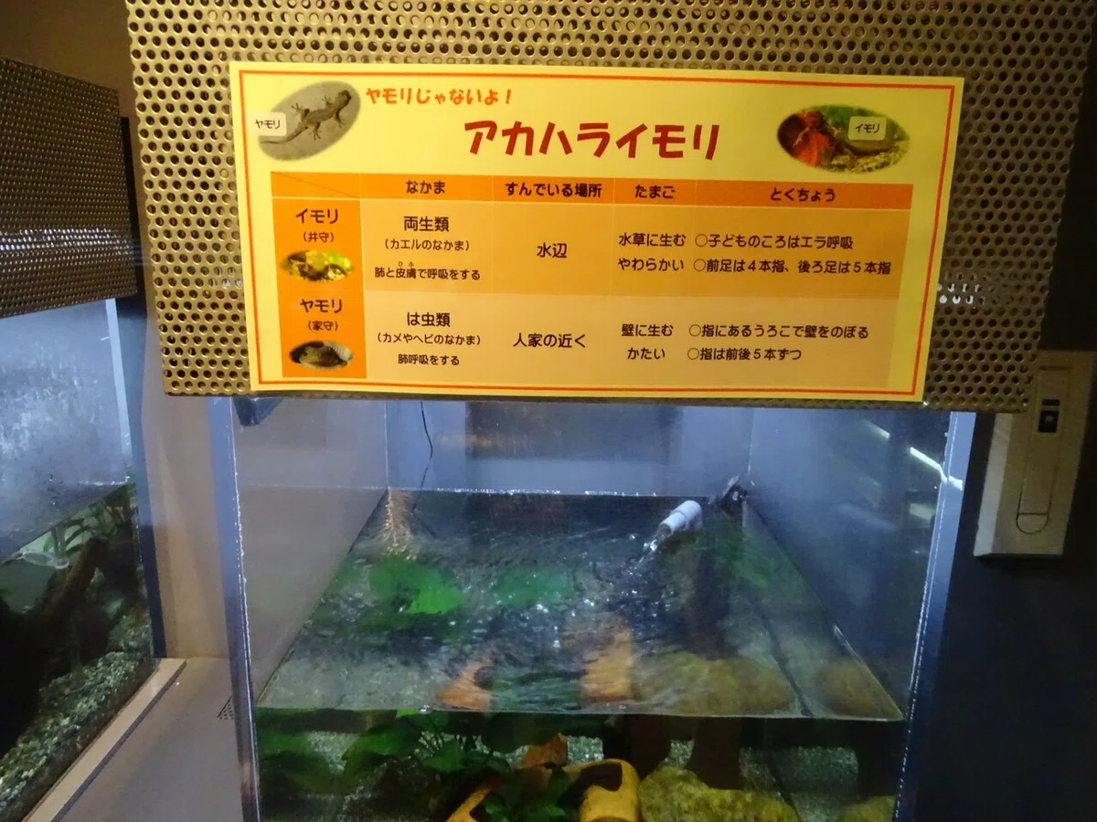 画像23