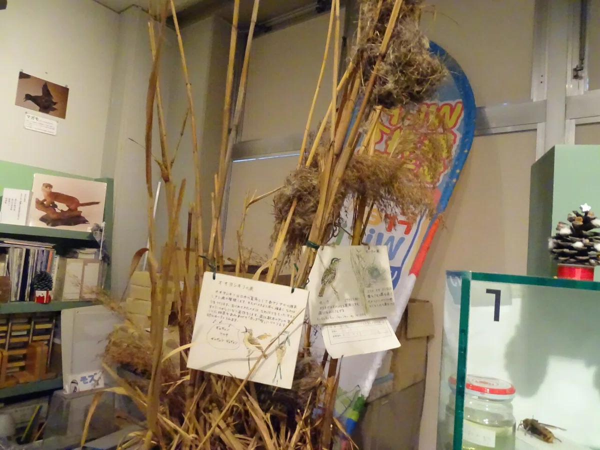 画像115