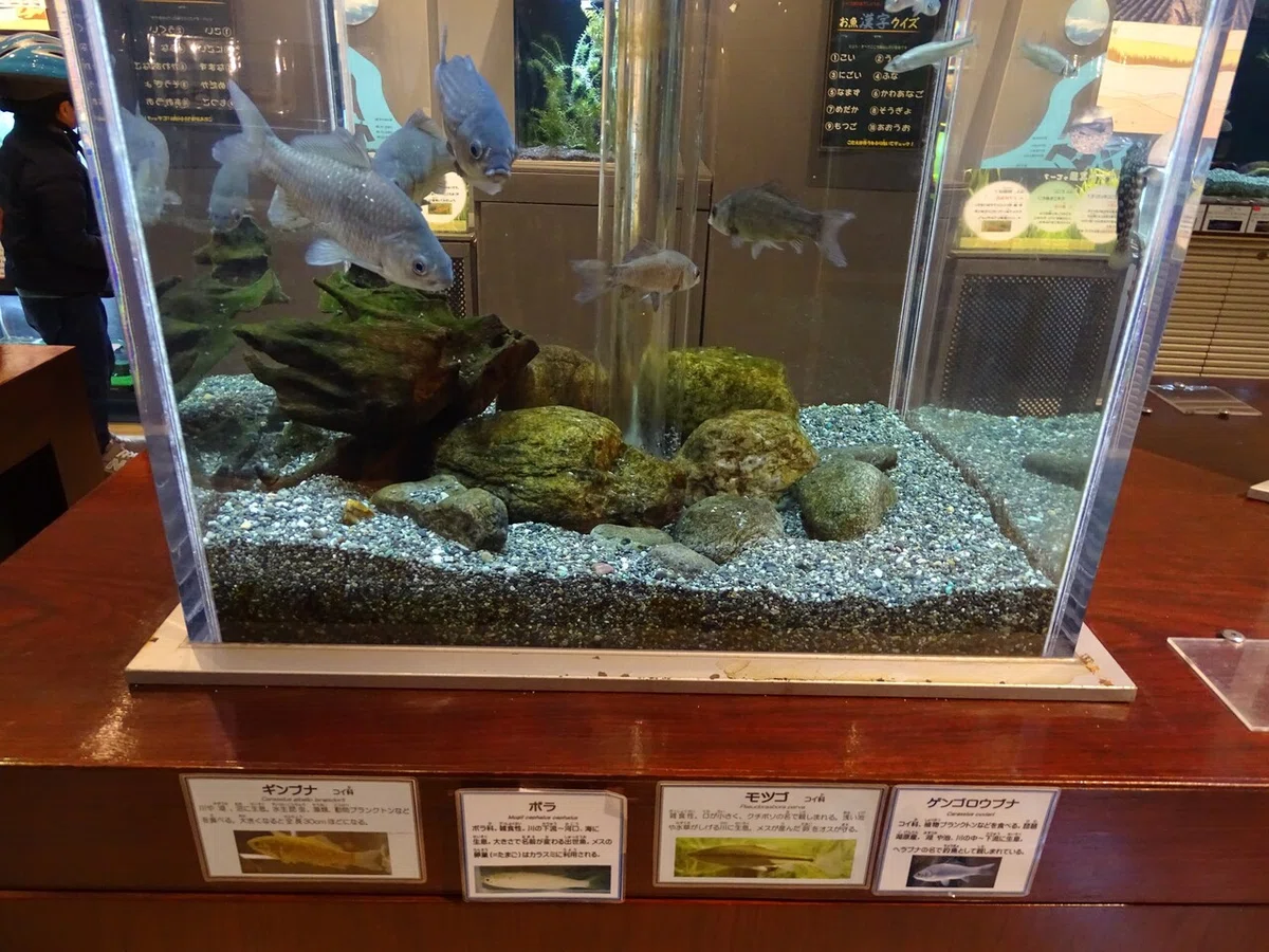画像33