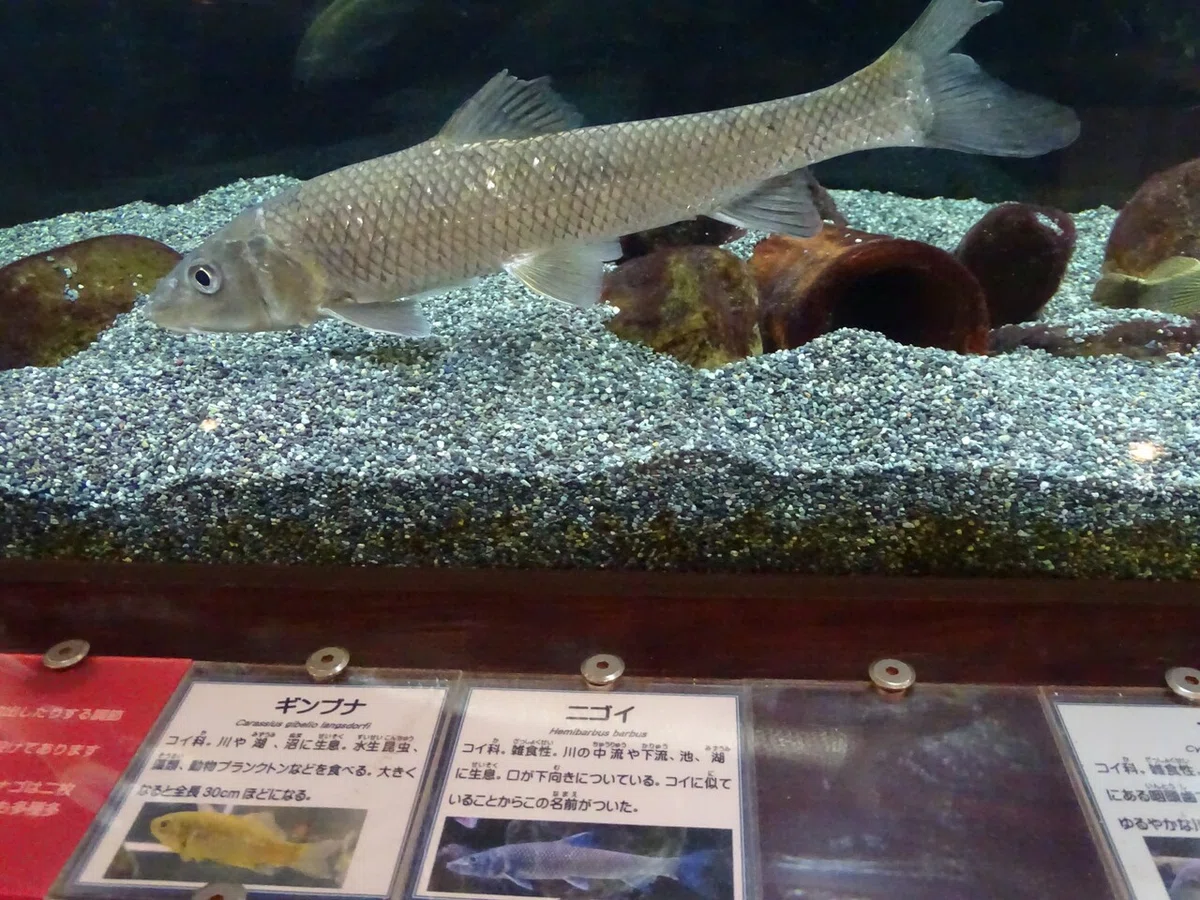 画像56