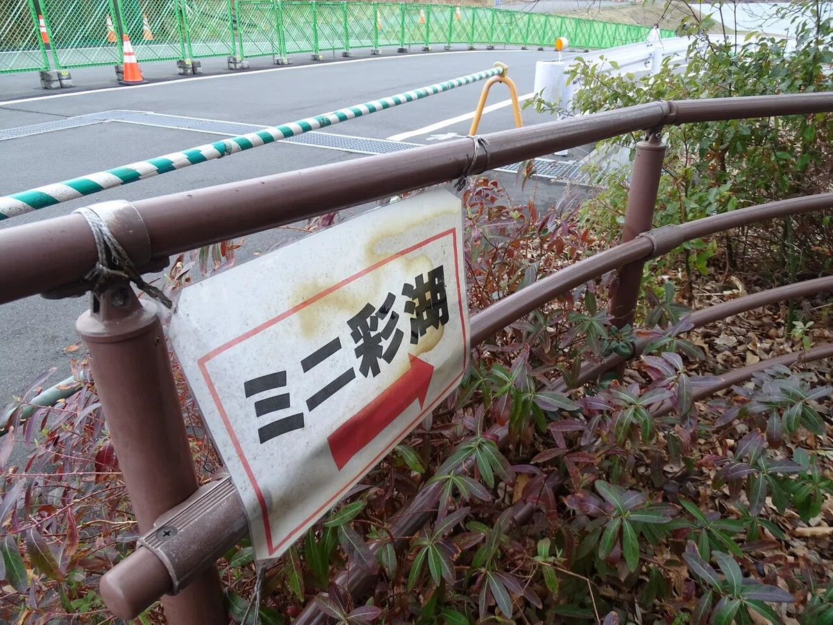 画像7