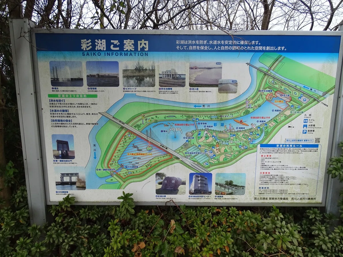 画像13