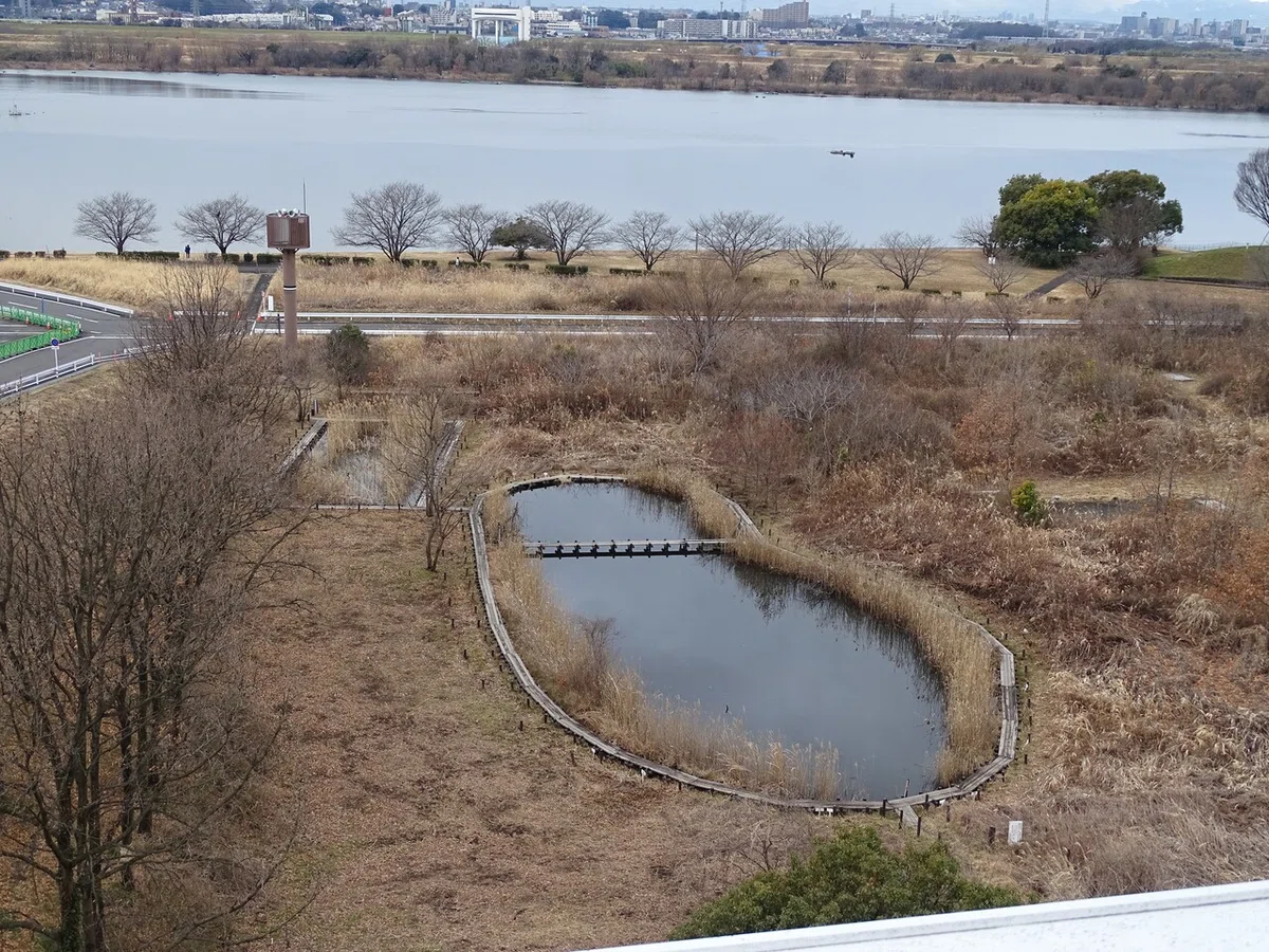 画像88
