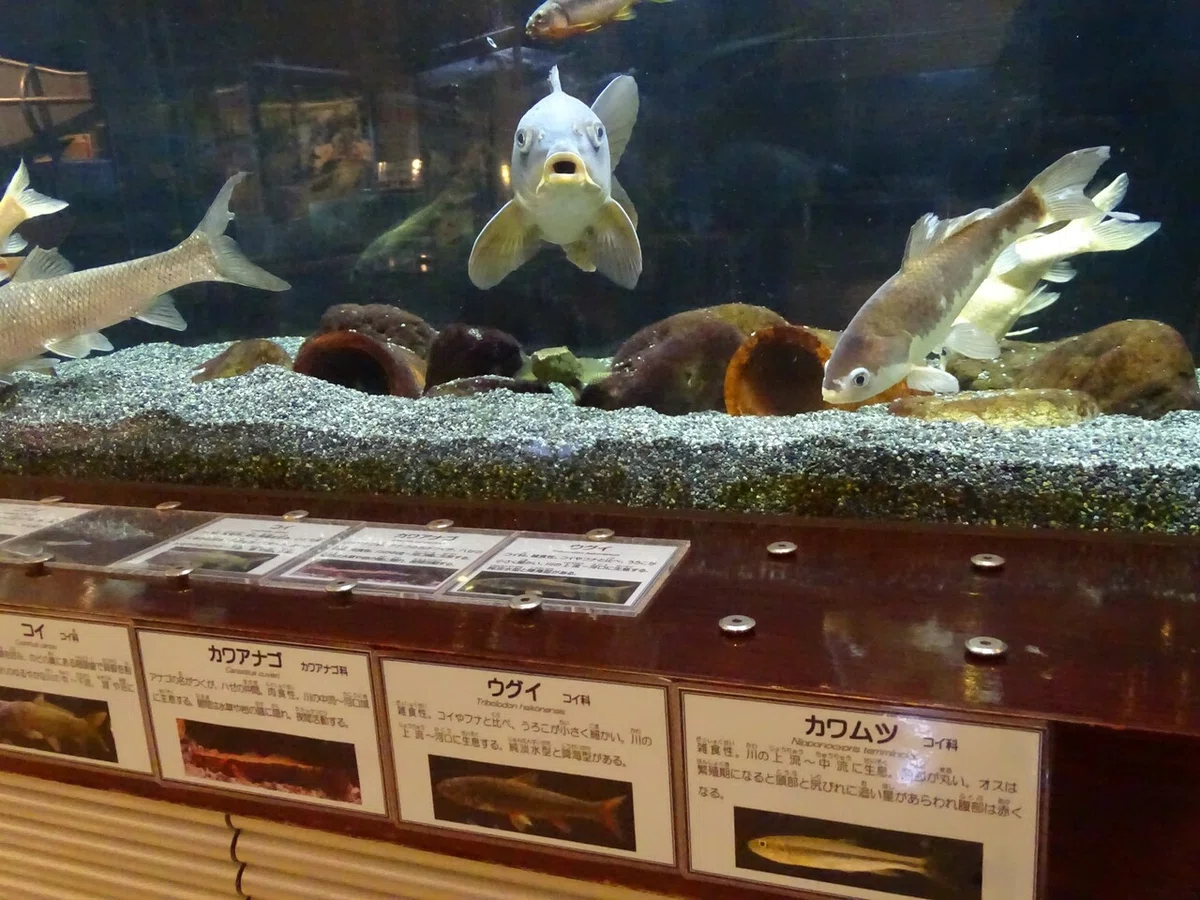 画像54