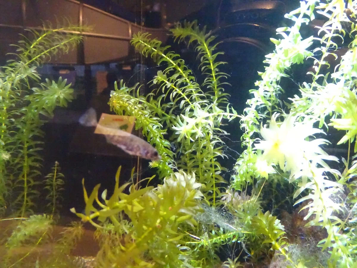 画像71