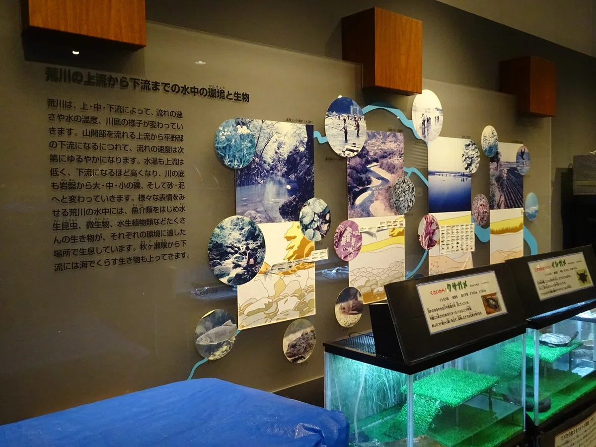 画像77