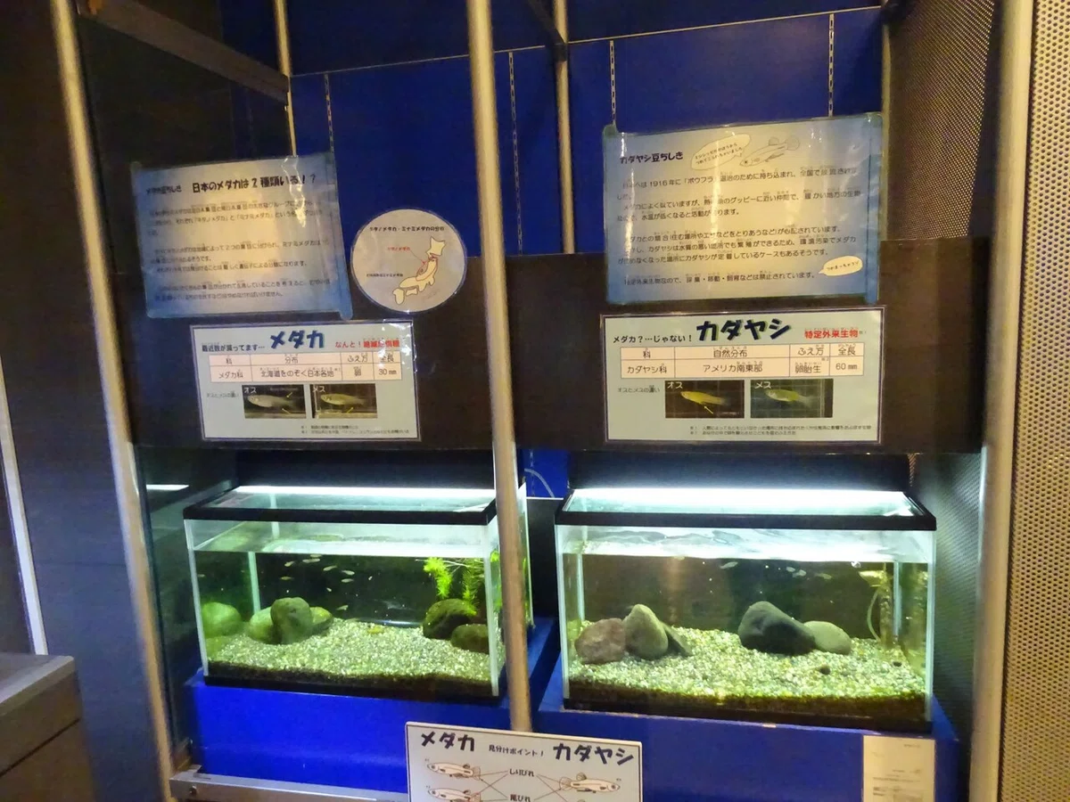 画像18