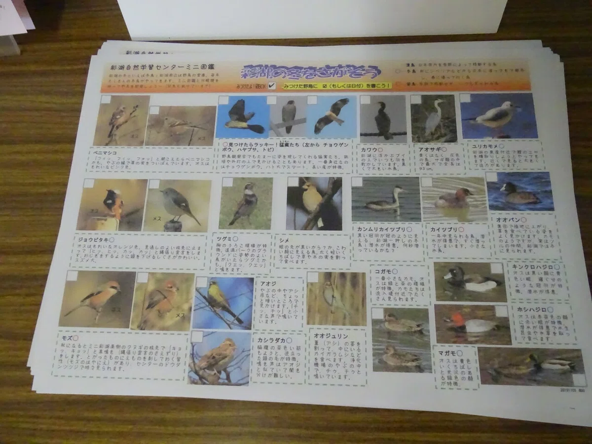 画像81