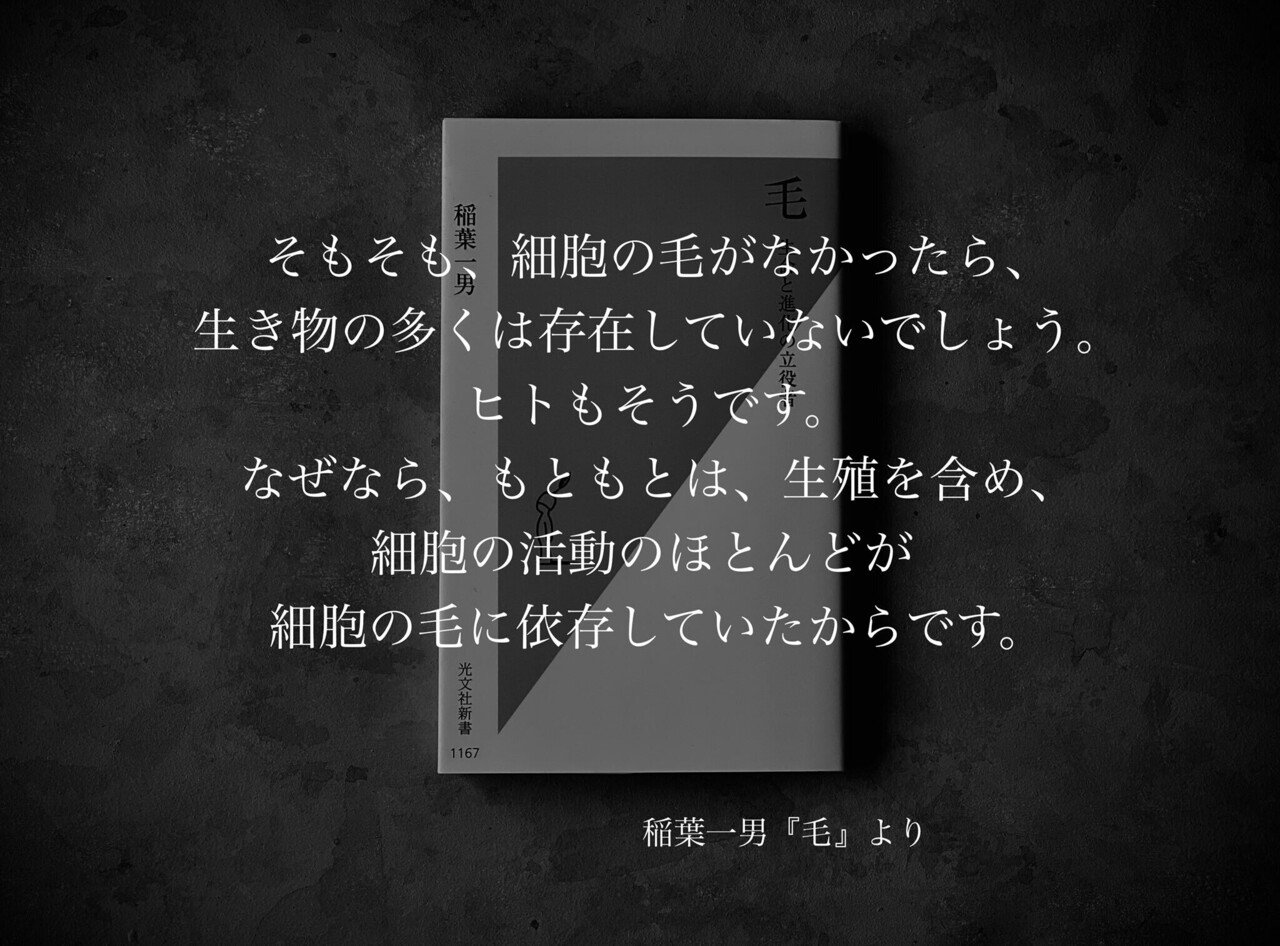 名言集】光文社新書の「#コトバのチカラ」 vol.99｜光文社新書