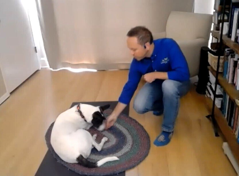 犬のためのリラクゼーションテクニック 複雑奇怪な浪速っ子 Note