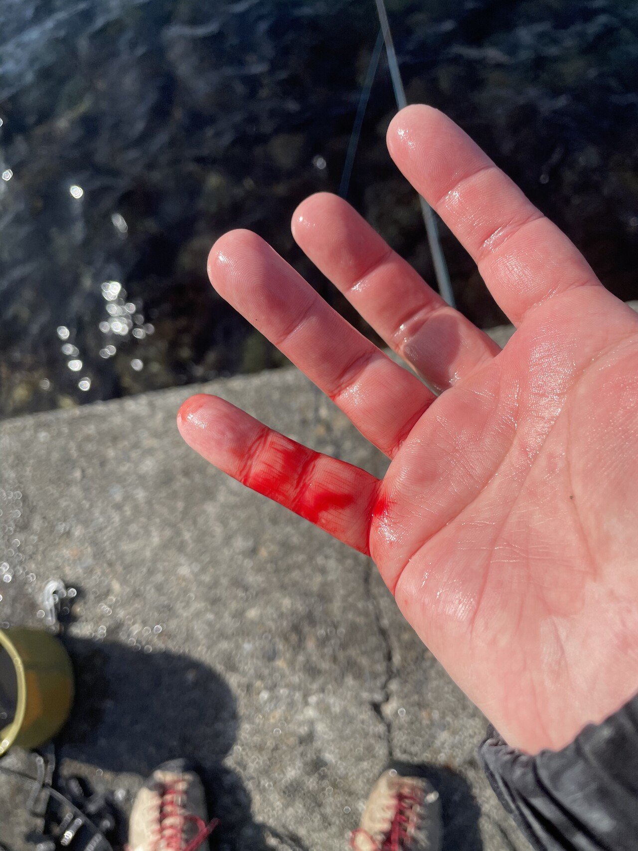 初心者なりのウツボの釣り方 Euphomam Note 初心者なりのウツボの釣り方 Euphomam Note