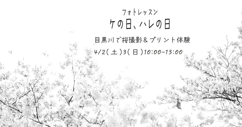【日程変更】3/26(土)目黒川で桜撮影＆プリント体験