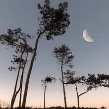 水野由多加