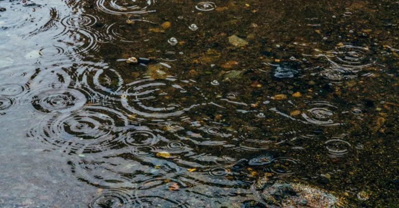 水は方円の器に随う Hiroki Kanno Note