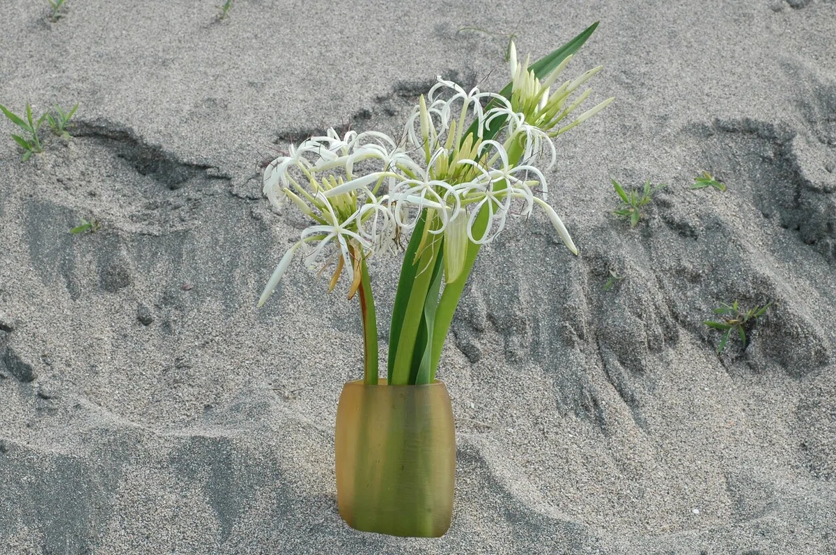 画像15